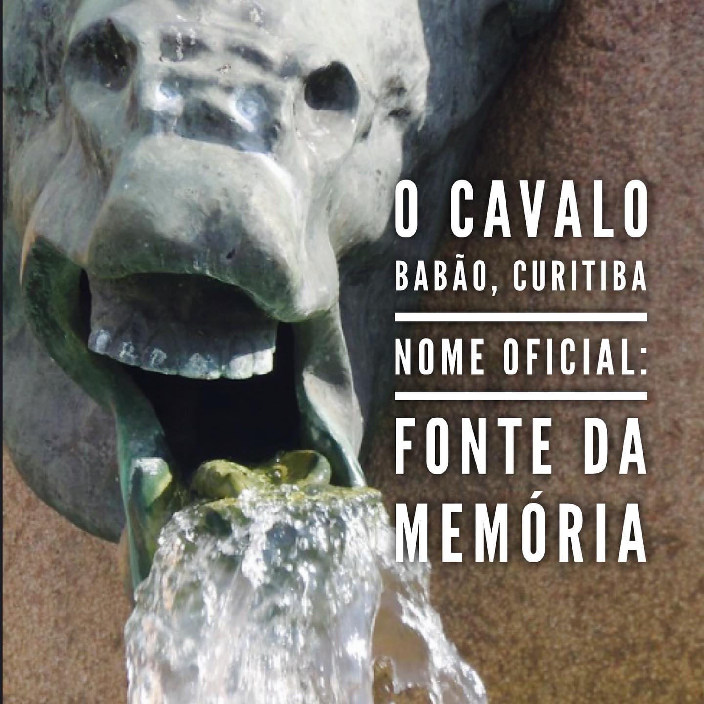 Imagem sequencia fotos história Cavalo Babão